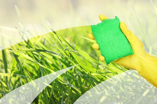 Professional home cleaners in Crystalpalace cleaning a bright living room