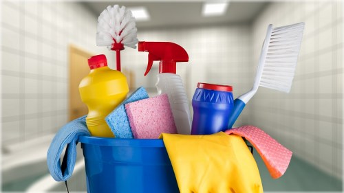 Carpet cleaner assessing safety procedures in a residential setting