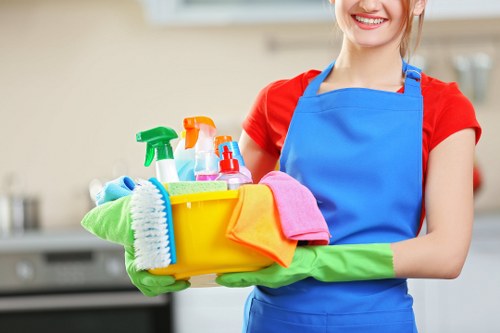 Illustration representing accessible web design for Crystal Palace Carpet Cleaners