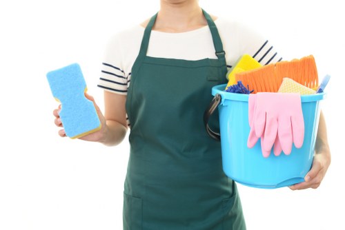 Professional cleaning company services in Crystalpalace for homes and businesses