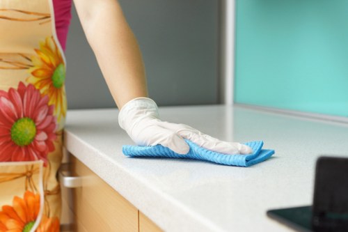 Domestic and commercial cleaning solutions from a Crystalpalace cleaning company