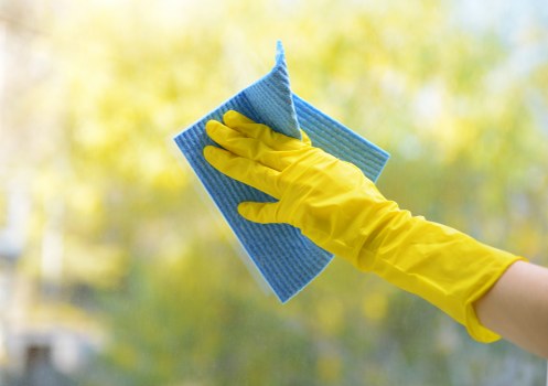 Professional domestic cleaning in a Crystal Palace living room
