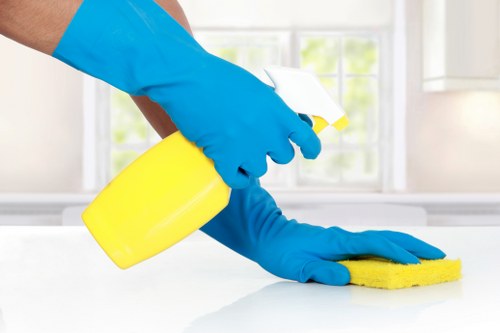 Bathroom domestic cleaning in Crystal Palace property