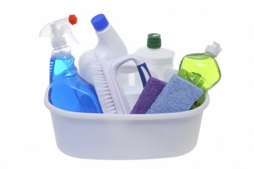 Deep carpet cleaning equipment in Crystal Palace home