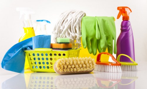 Regular house cleaning in Crystal Palace bedroom