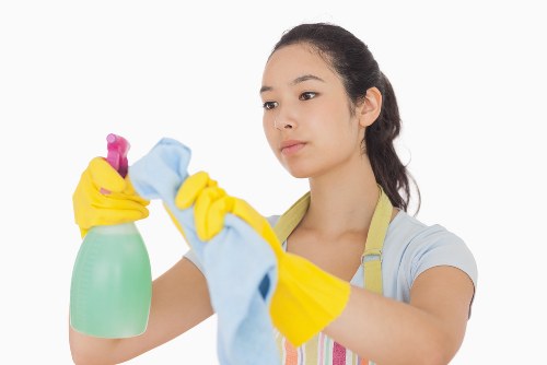 Cleaner assessing carpet cleaning risks before work