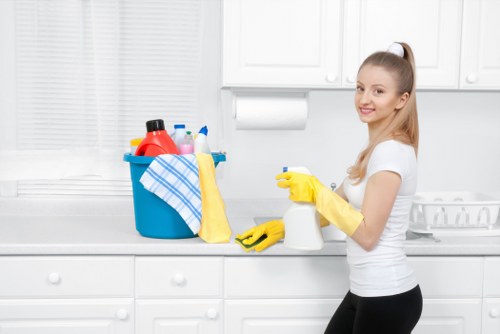 Seasonal domestic cleaning for Crystal Palace households