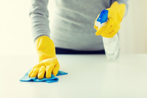 Expert carpet cleaner improving high-traffic flooring in Crystal Palace