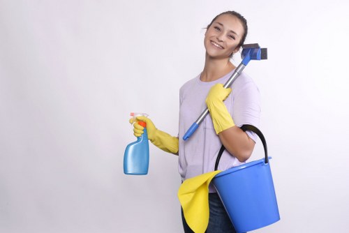 Regular house cleaning service in Crystalpalace for a neat living space