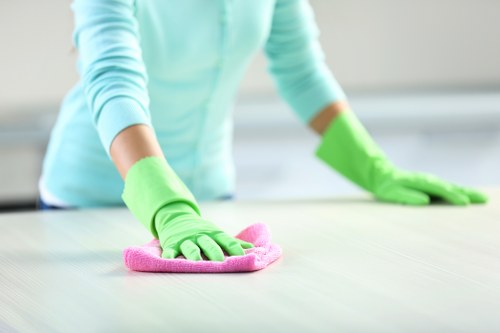 Commercial cleaners in Crystalpalace maintaining a clean office space