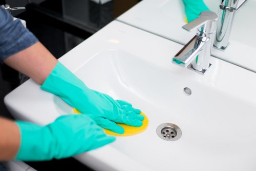 Domestic cleaning service in Crystalpalace for a tidy living room