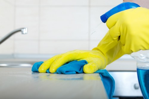 Kitchen deep cleaning in Crystalpalace with detailed surface care