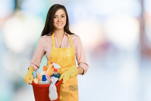 Home cleaning in Crystalpalace with detailed bathroom cleaning
