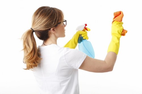 Crystalpalace Carpet Cleaners providing professional carpet care in a local home setting