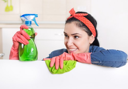 Home maintenance after deep cleaning in Crystalpalace
