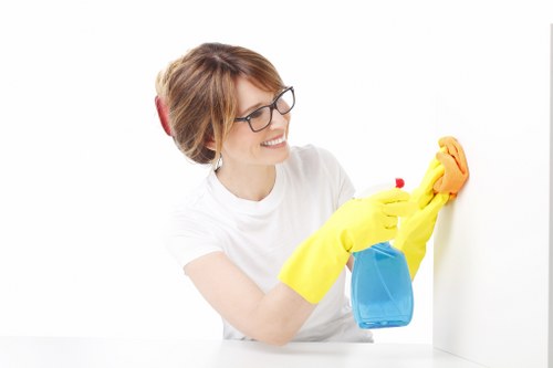 Kitchen cleaning service in Crystal Palace home