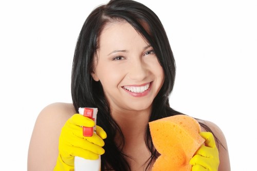 Domestic carpet care for a lounge and furnishings