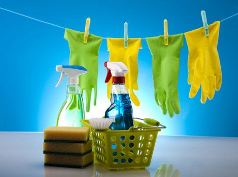 Booking process for carpet cleaning appointments
