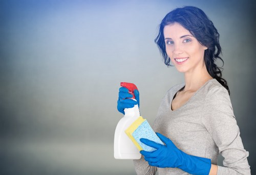 Deep oven cleaning service in Crystalpalace with cleaned trays and racks