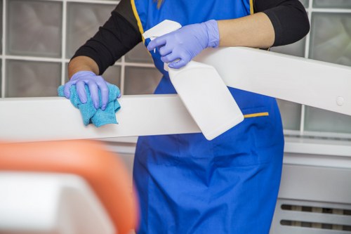 Domestic cleaning service in Crystalpalace focusing on kitchen surfaces